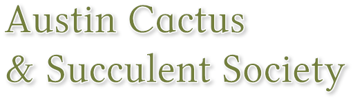 Austin Cactus 
& Succulent Society